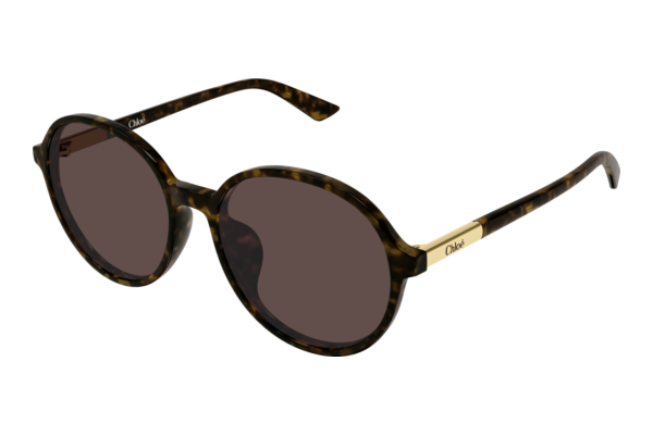 Zonnebril Chloé CH0365SK 002