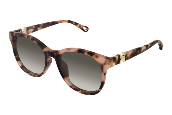 Zonnebril Chloé CH0375SK 002