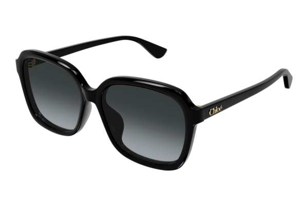 Zonnebril Chloé CH0390SK 001
