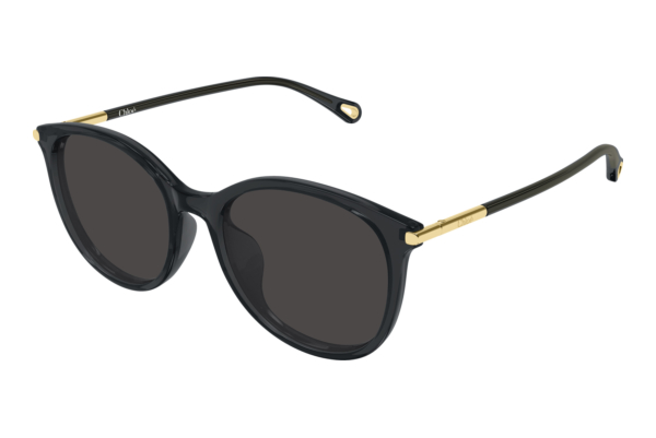 Zonnebril Chloé CH0397SK 001