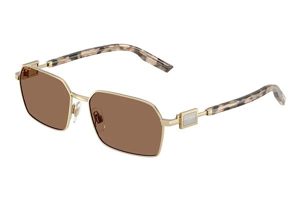 Zonnebril Dolce & Gabbana DG2316 488/73