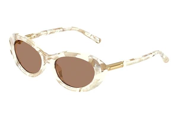 Zonnebril Dolce & Gabbana DG4519 346173