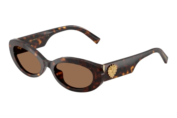 Zonnebril Dolce & Gabbana DG4537 502/73