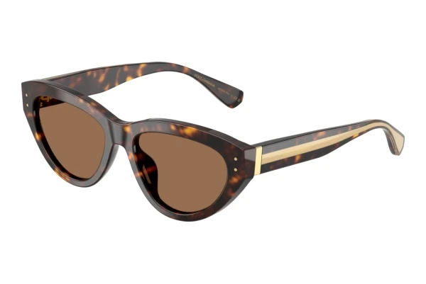 Zonnebril Dolce & Gabbana DG4558 502/73