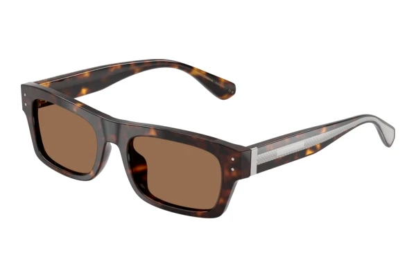 Zonnebril Dolce & Gabbana DG4560 502/73