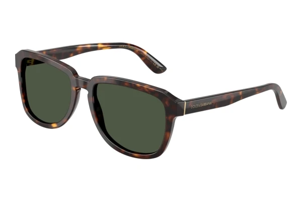 Zonnebril Dolce & Gabbana DG4566 502/9A