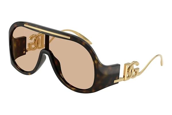 Zonnebril Dolce & Gabbana DG6202 502/93