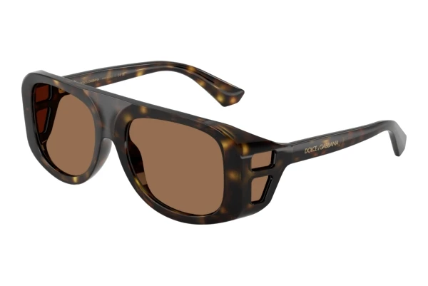 Zonnebril Dolce & Gabbana DG6208 502/73