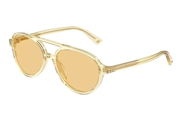 Zonnebril Jimmy Choo JC5055U 5083/8