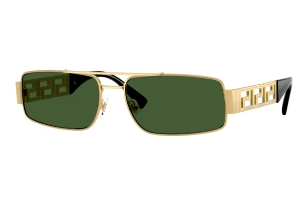 Zonnebril Versace VE2257 100271