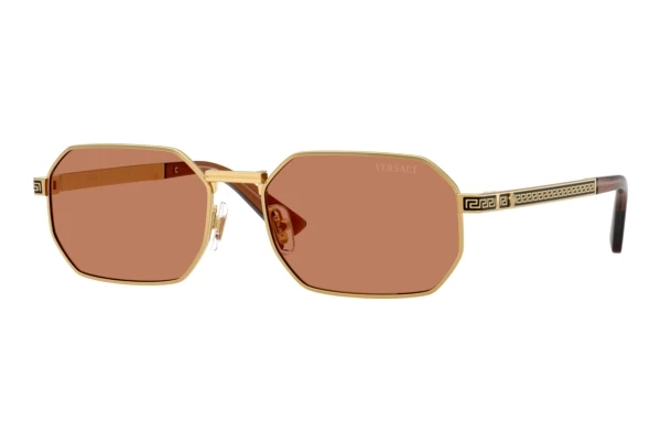 Zonnebril Versace VE2297 100273