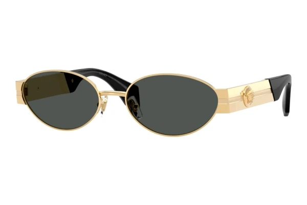 Zonnebril Versace VE2301 152387