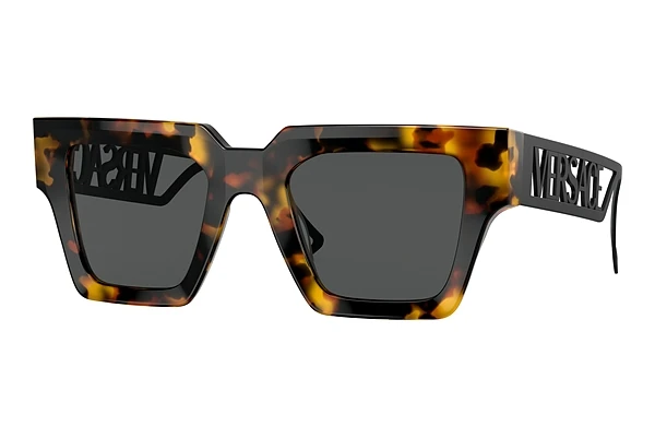 Zonnebril Versace VE4431 514887