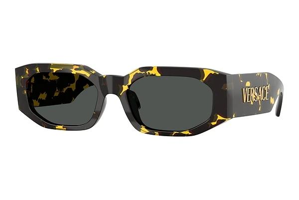 Zonnebril Versace VE4489U 552887