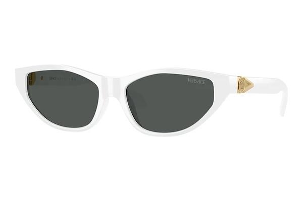 Zonnebril Versace VE4491U 314/87