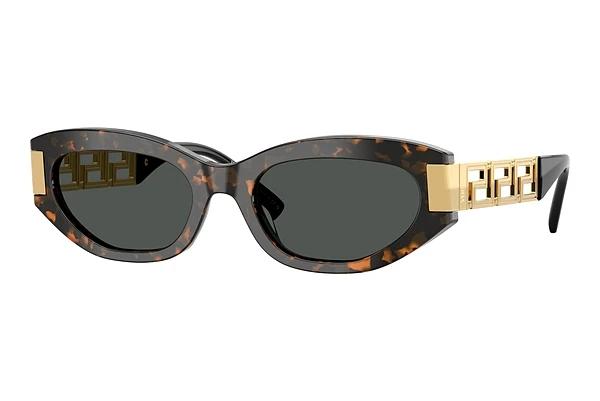 Zonnebril Versace VE4501 552887