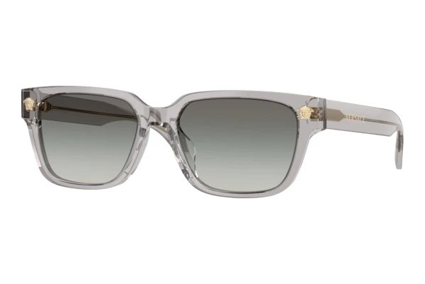 Zonnebril Versace VE4513D 593/11