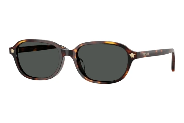 Zonnebril Versace VE4514D 553773