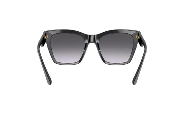 Dolce & Gabbana DG 4384 501/8G