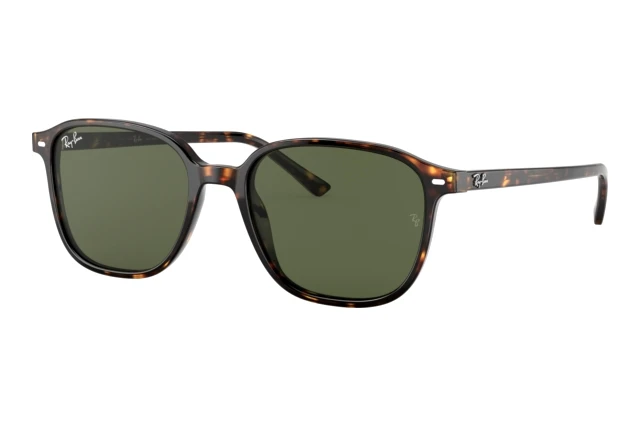 Ray-Ban LEONARD RB 2193 902/31