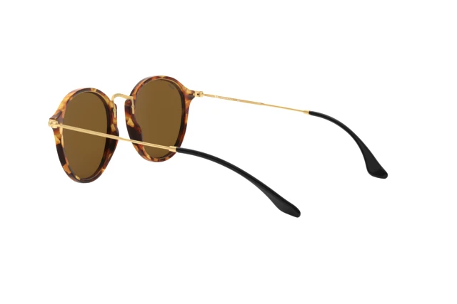 Sunglasses Ray-Ban Round Fleck RB 2447 (1160) Unisex | Free Shipping Shop  Online