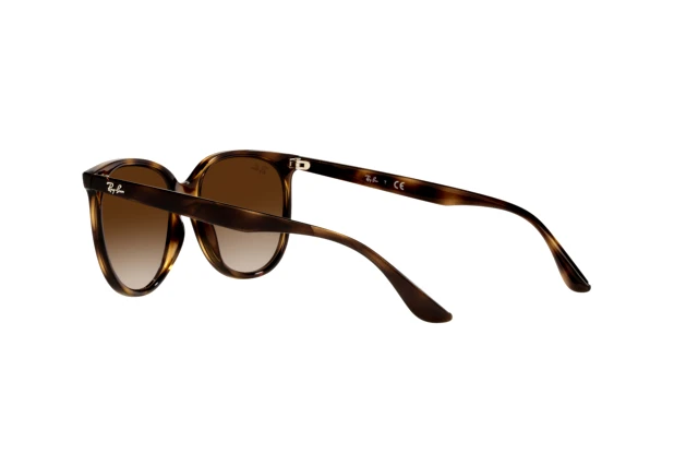 Ray-Ban RB 4378 710/13