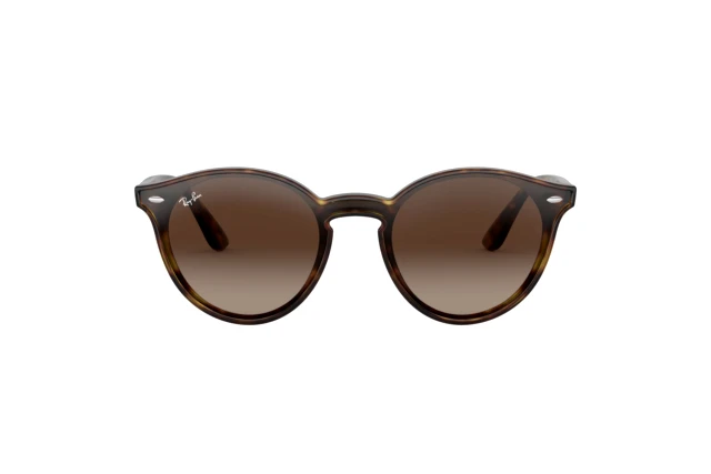 Ray-Ban Blaze Panthos RB 4380N 710/13