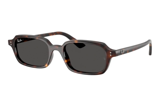 Ray-Ban-RB4455-135987.jpg