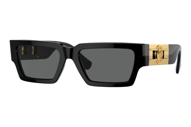 Versace VE 4459 GB1/87